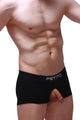 Boxer Anjouin Black