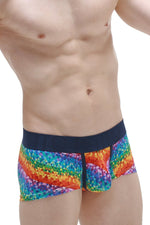 Boxer Brief Kaleidoscope