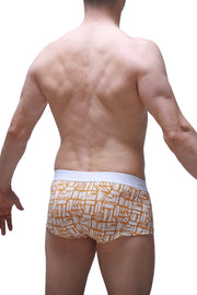 Boxer Brief Carlot Alloy