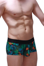 Boxer Chill Souarce Tropical