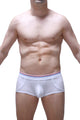 Boxer Morrier White