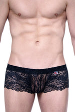 Boxer PetitQ Lace Ereac Black